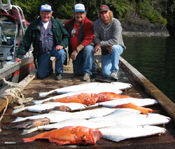 Kiwi Magic big haul of fish