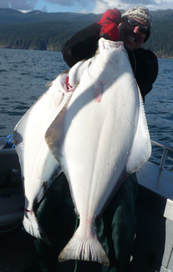 Kiwi Magic Halibut