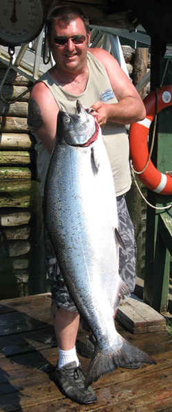 King Coop Salmon