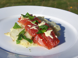 Salmon Gravlox