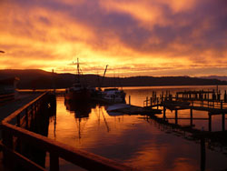 Port Renfrew sunrise