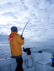 Fish On-Swiftsure