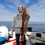 Joe Ling Cod