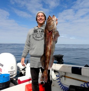 Joe Ling Cod